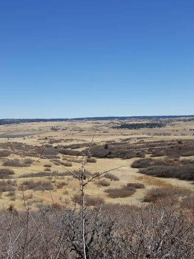 Whispering Pines Park - Franktown, CO