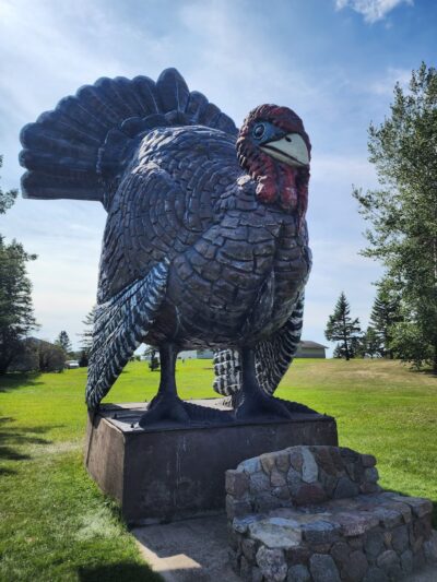 Lion's Park - Frazee, MN