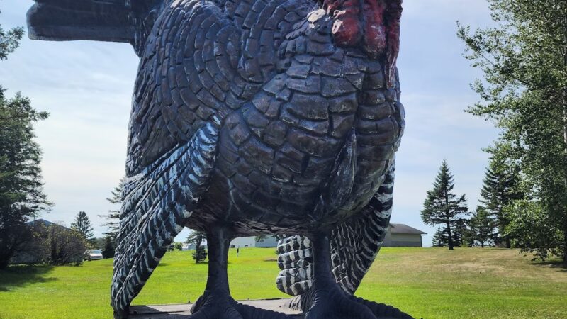 Lion's Park - Frazee, MN