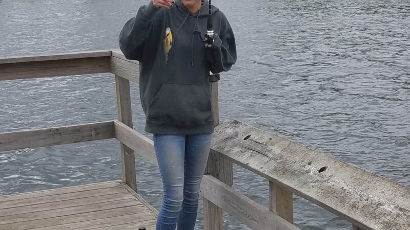Lion's Park - Frazee, MN