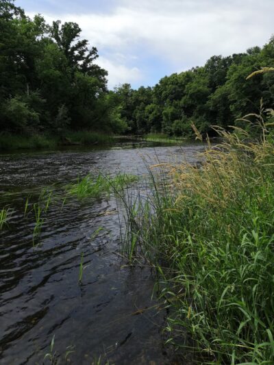 Lion's Park - Frazee, MN