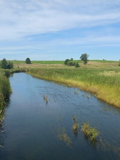 Wannigan Regional Park - Frazee, MN