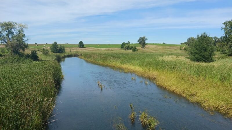 Wannigan Regional Park - Frazee, MN