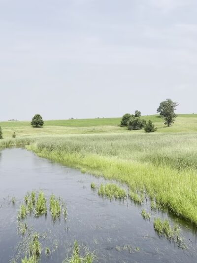 Wannigan Regional Park - Frazee, MN