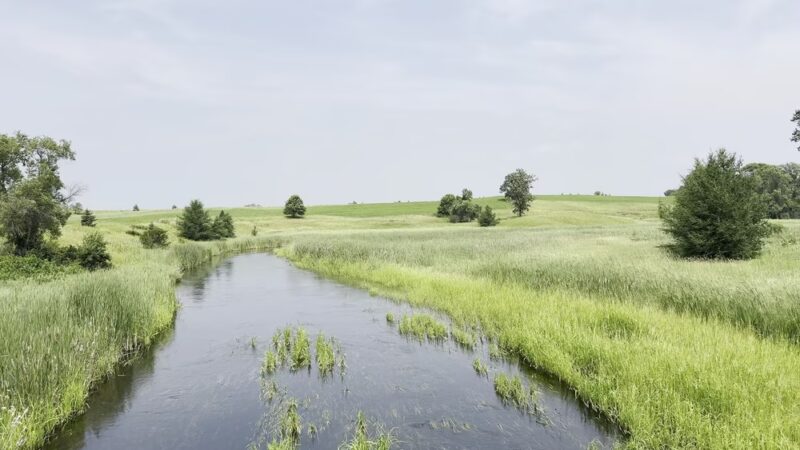 Wannigan Regional Park - Frazee, MN