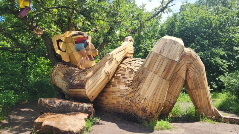 Wannigan Regional Park - Frazee, MN