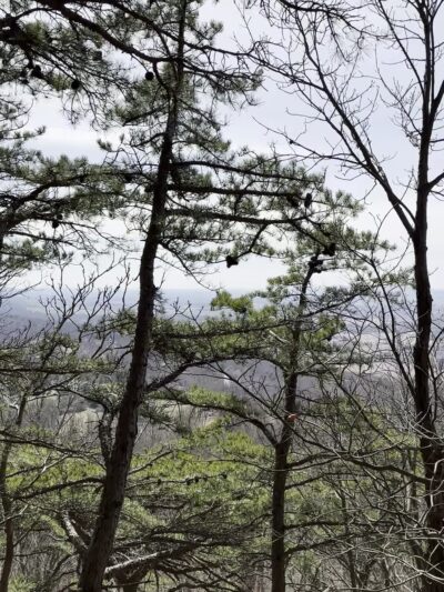 Gambrill State Park - Frederick, MD