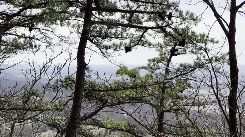 Gambrill State Park - Frederick, MD