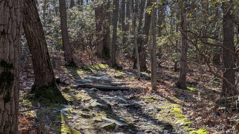 Gambrill State Park - Frederick, MD