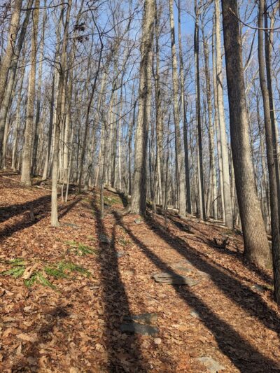 Gambrill State Park "Trailhead" - Frederick, MD