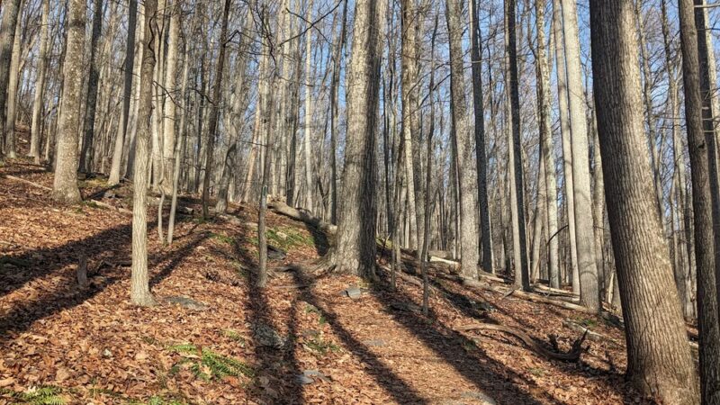 Gambrill State Park "Trailhead" - Frederick, MD