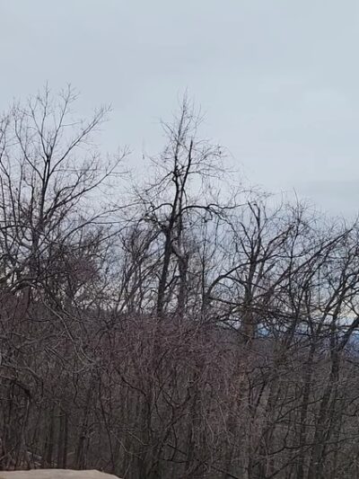 Gambrill State Park "Trailhead" - Frederick, MD