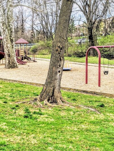 Willowdale Park - Frederick, MD