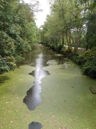 Canal Trail - Fredericksburg, VA