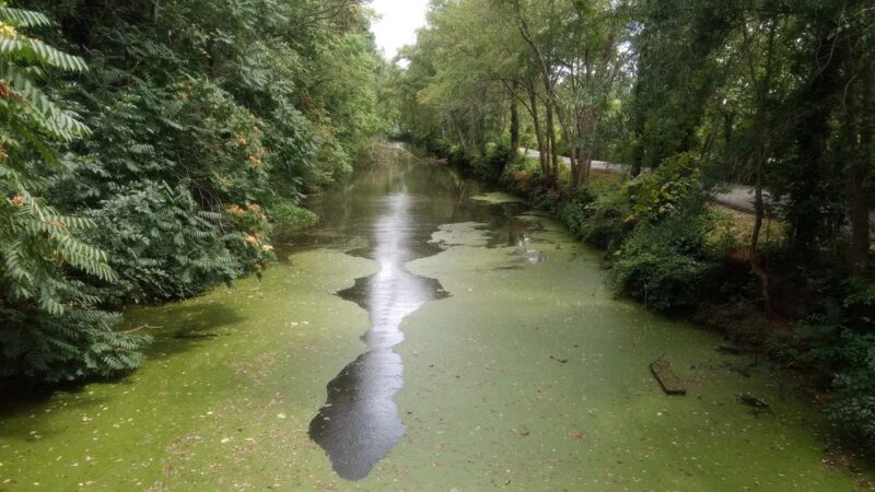 Canal Trail - Fredericksburg, VA
