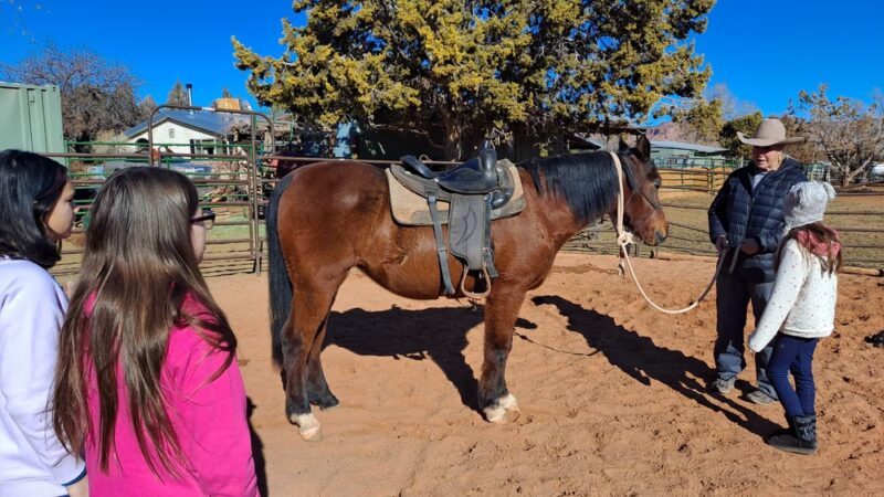 Happy Horse & Dog Pet Resort - Fredonia, AZ