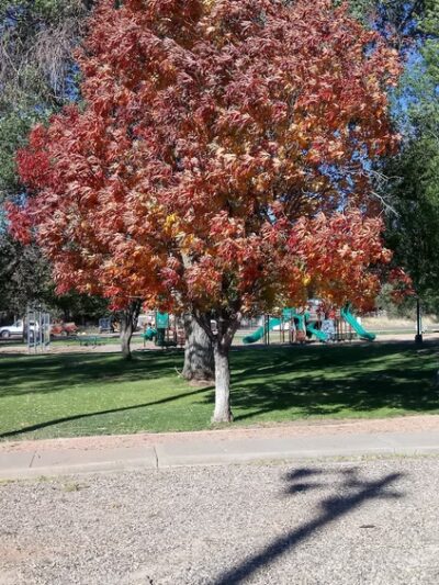 Fredonia City Park - Fredonia, AZ