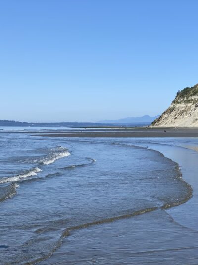 Double Bluff Beach and Off Leash Area - Freeland, WA
