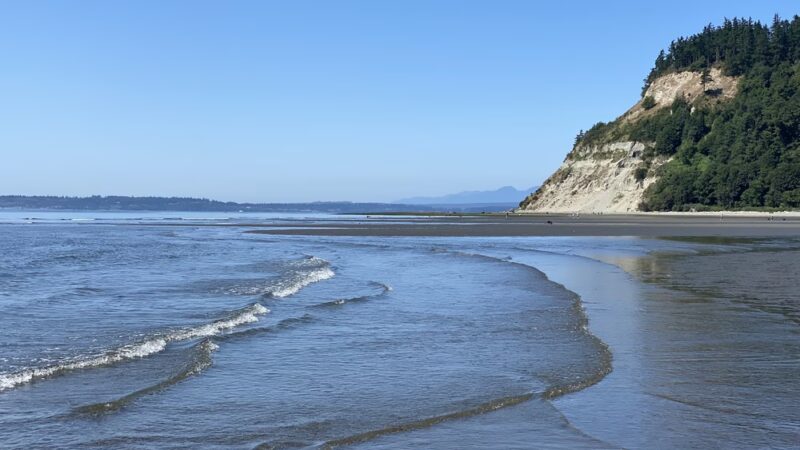 Double Bluff Beach and Off Leash Area - Freeland, WA