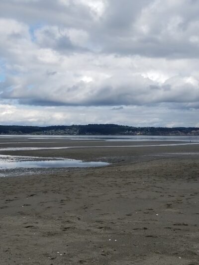Double Bluff Beach and Off Leash Area - Freeland, WA