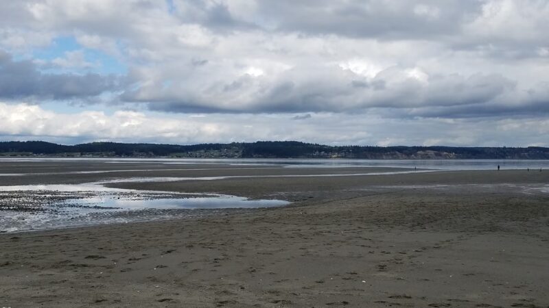 Double Bluff Beach and Off Leash Area - Freeland, WA