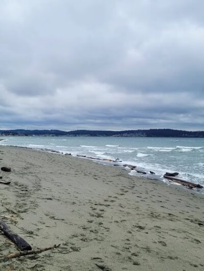 Double Bluff Beach and Off Leash Area - Freeland, WA