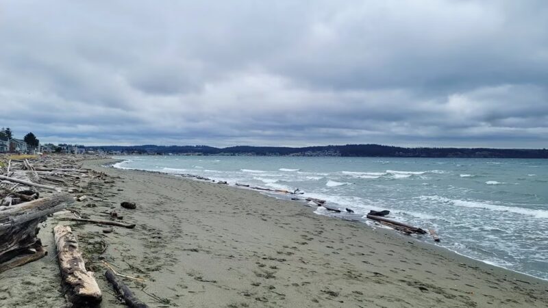 Double Bluff Beach and Off Leash Area - Freeland, WA