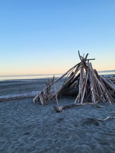Double Bluff Beach and Off Leash Area - Freeland, WA