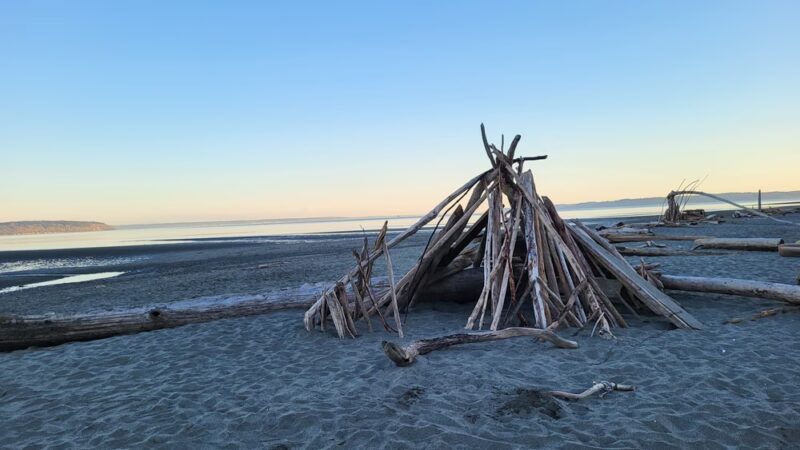 Double Bluff Beach and Off Leash Area - Freeland, WA