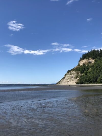 Double Bluff County Park - Freeland, WA