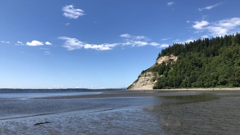 Double Bluff County Park - Freeland, WA