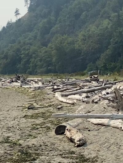 Double Bluff County Park - Freeland, WA