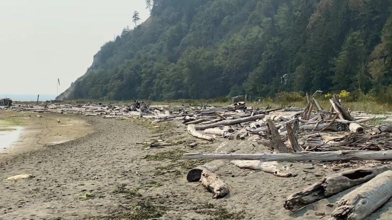 Double Bluff County Park - Freeland, WA