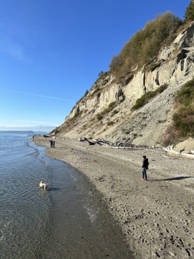 Double Bluff County Park - Freeland, WA
