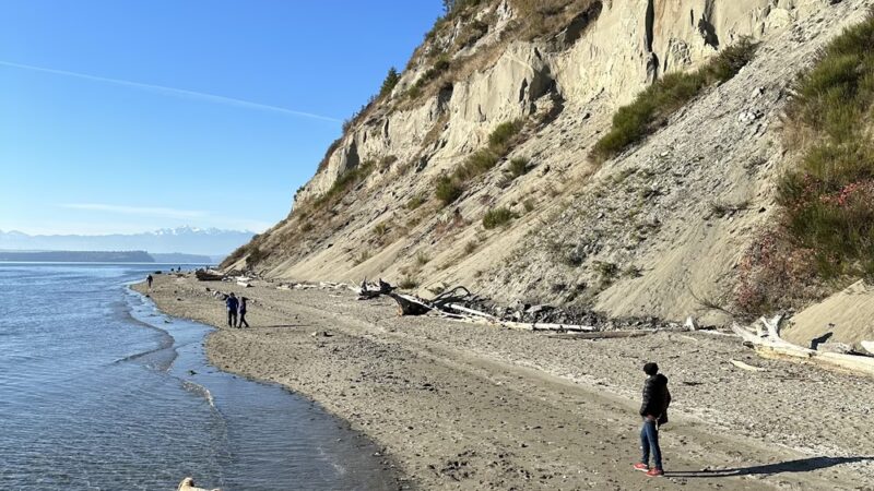 Double Bluff County Park - Freeland, WA