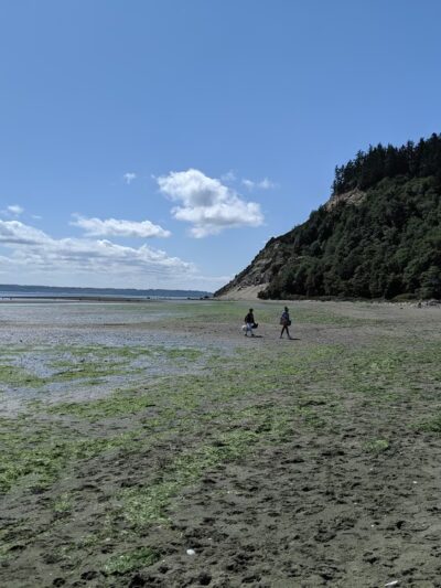 Double Bluff County Park - Freeland, WA