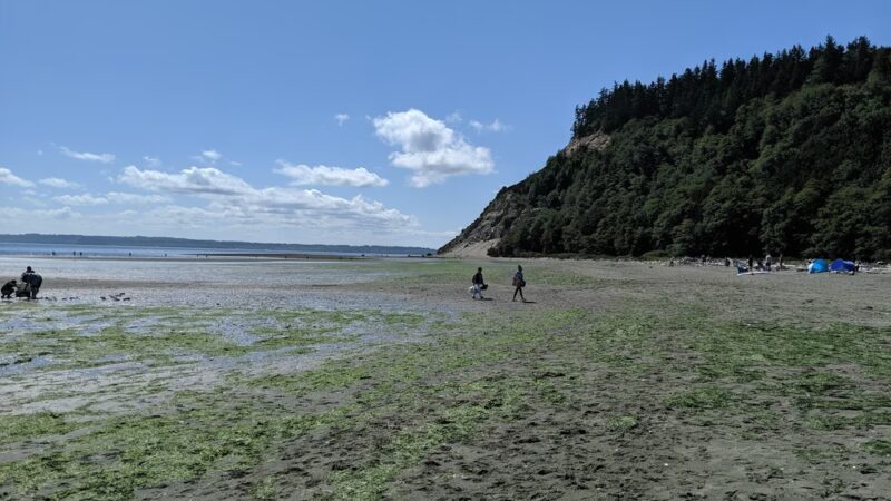 Double Bluff County Park - Freeland, WA