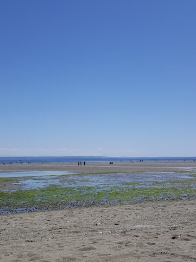 Double Bluff County Park - Freeland, WA