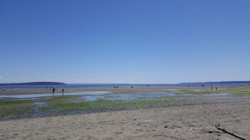 Double Bluff County Park - Freeland, WA