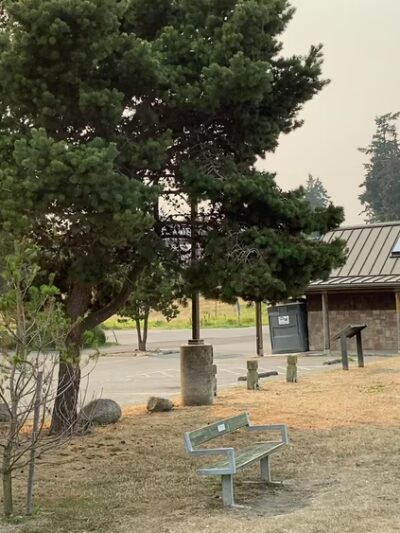 Freeland Park - Freeland, WA