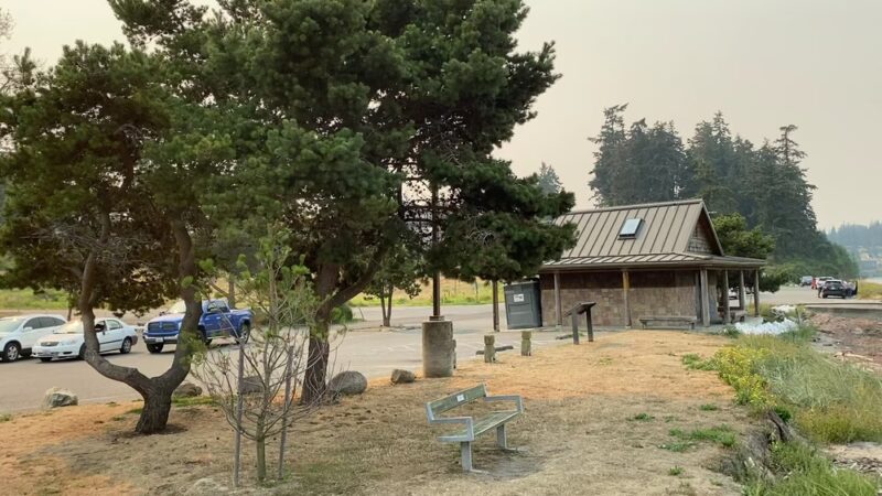 Freeland Park - Freeland, WA