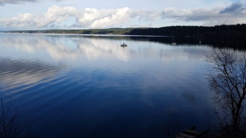 Freeland Park - Freeland, WA