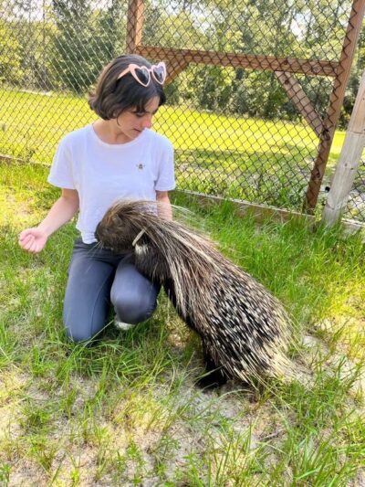 Animal Academy of the Emerald Coast - Freeport, FL