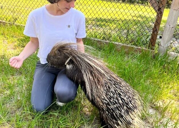 Animal Academy of the Emerald Coast - Freeport, FL