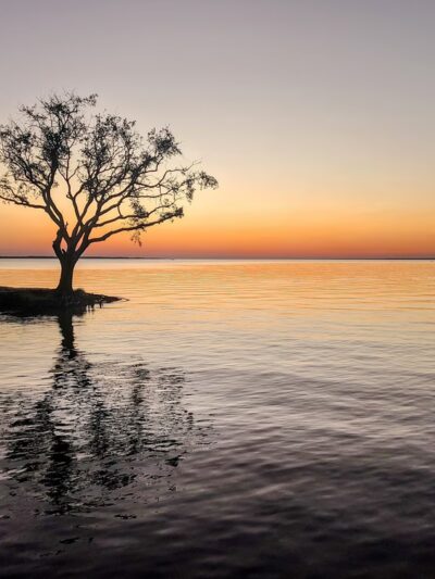 Grady Brown Park - Freeport, FL