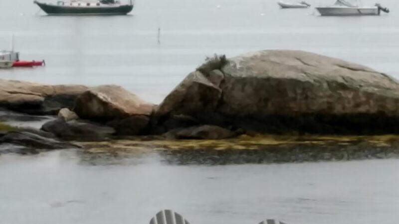 Bustins Island - Freeport, ME