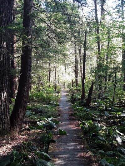 O.D. von Engeln Preserve at Malloryville - Freeville, NY