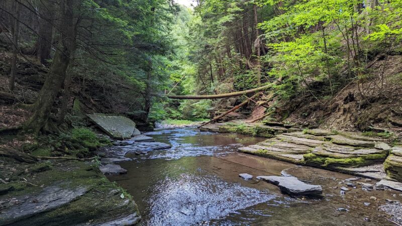 Roy H Park Preserve - North (Short) Trail - Freeville, NY