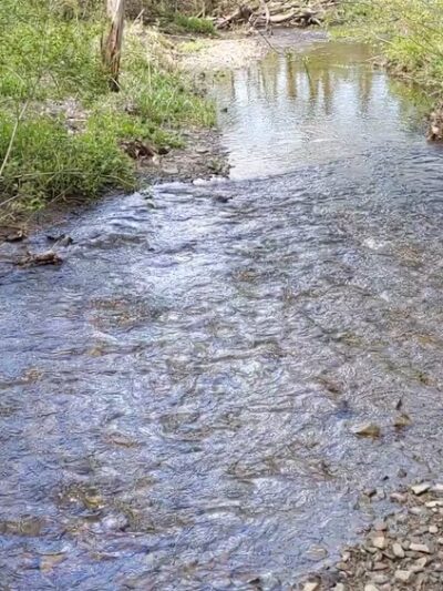Roy H Park Preserve - North (Short) Trail - Freeville, NY