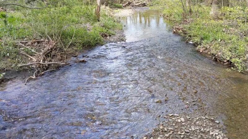 Roy H Park Preserve - North (Short) Trail - Freeville, NY